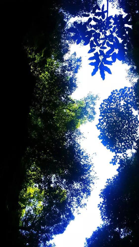 寻找丢失的钱包